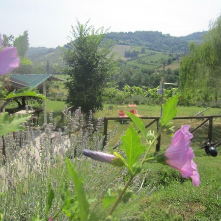 Le Spighe Agriturismo Cesena Eksteriør bilde