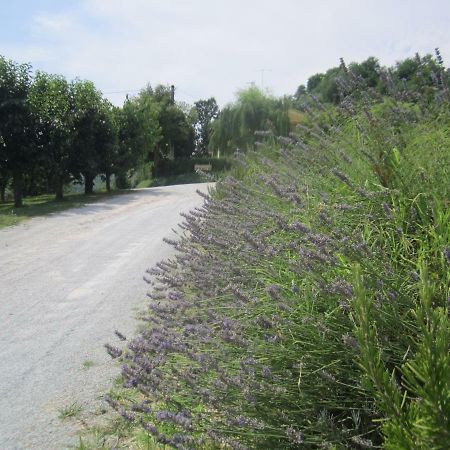 Le Spighe Agriturismo Cesena Eksteriør bilde