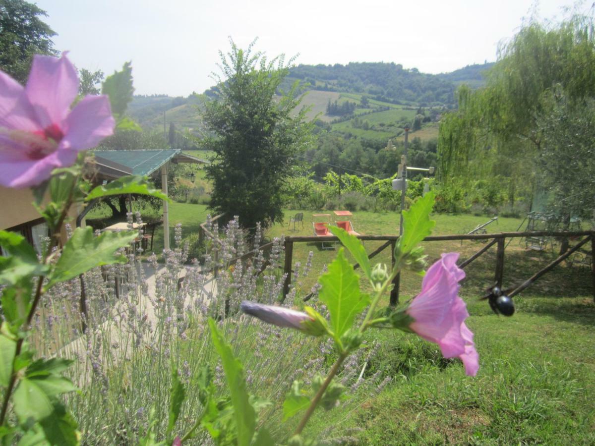 Le Spighe Agriturismo Cesena Eksteriør bilde