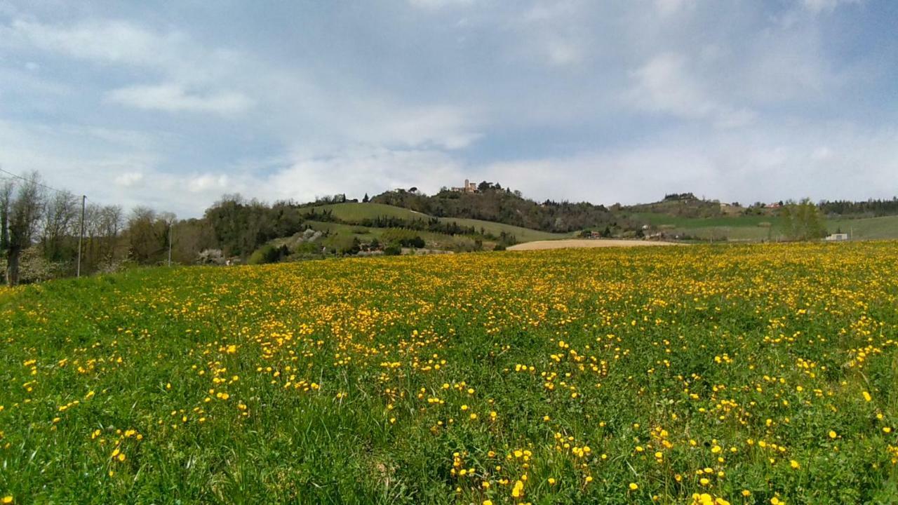 Le Spighe Agriturismo Cesena Eksteriør bilde