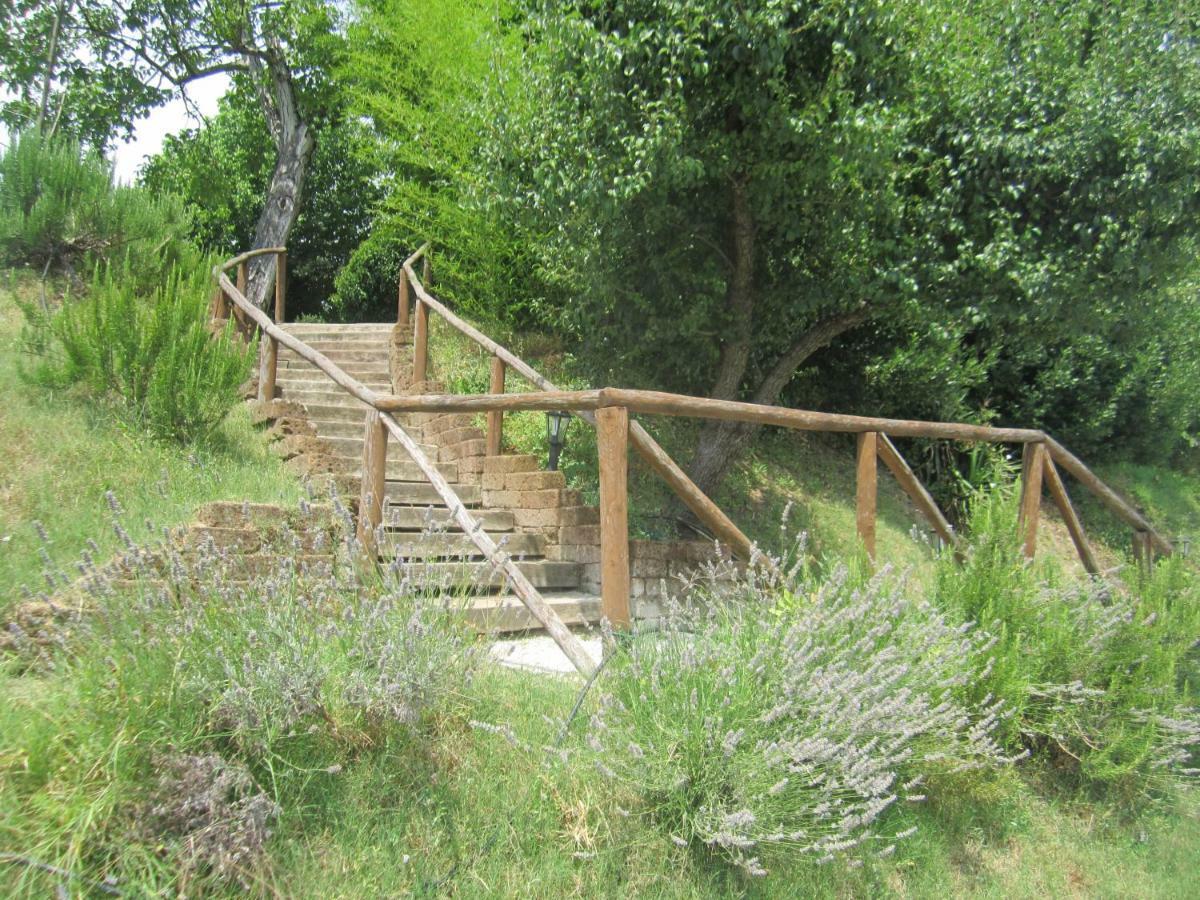 Le Spighe Agriturismo Cesena Eksteriør bilde