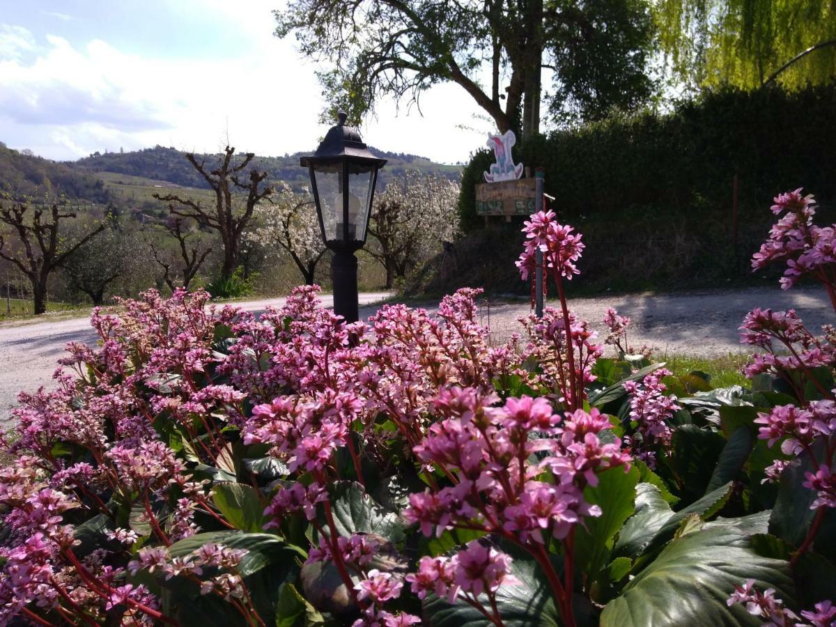 Le Spighe Agriturismo Cesena Eksteriør bilde